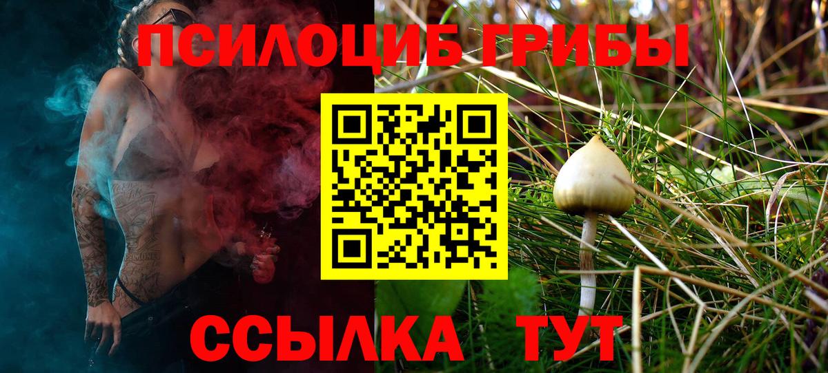Каспийск  Псилоцибиновые грибы мицелий  Вход с VPN 