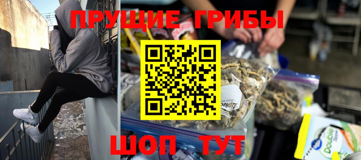 Псилоцибиновые грибы прущие грибы Каспийск